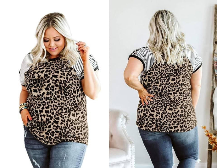 Chloe Cheetah Top